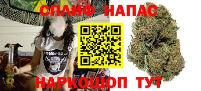 шишки Можайск