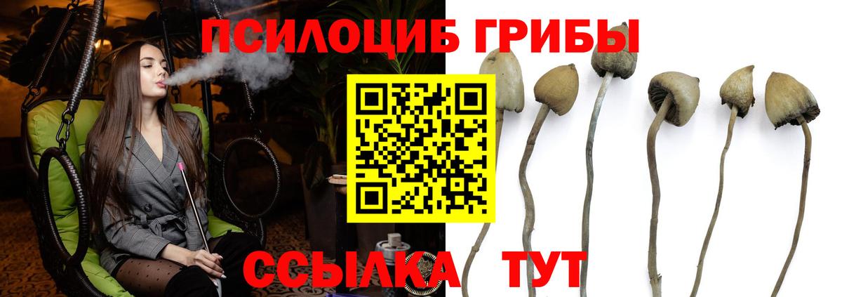 Шатура  Галлюциногенные грибы GOLDEN TEACHER  Галлюциногенные грибы Psilocybine cubensis  где продают наркотики  Вход с VPN 