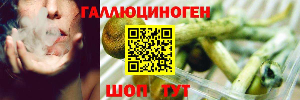 Галлюциногенные грибы прущие грибы Шатура