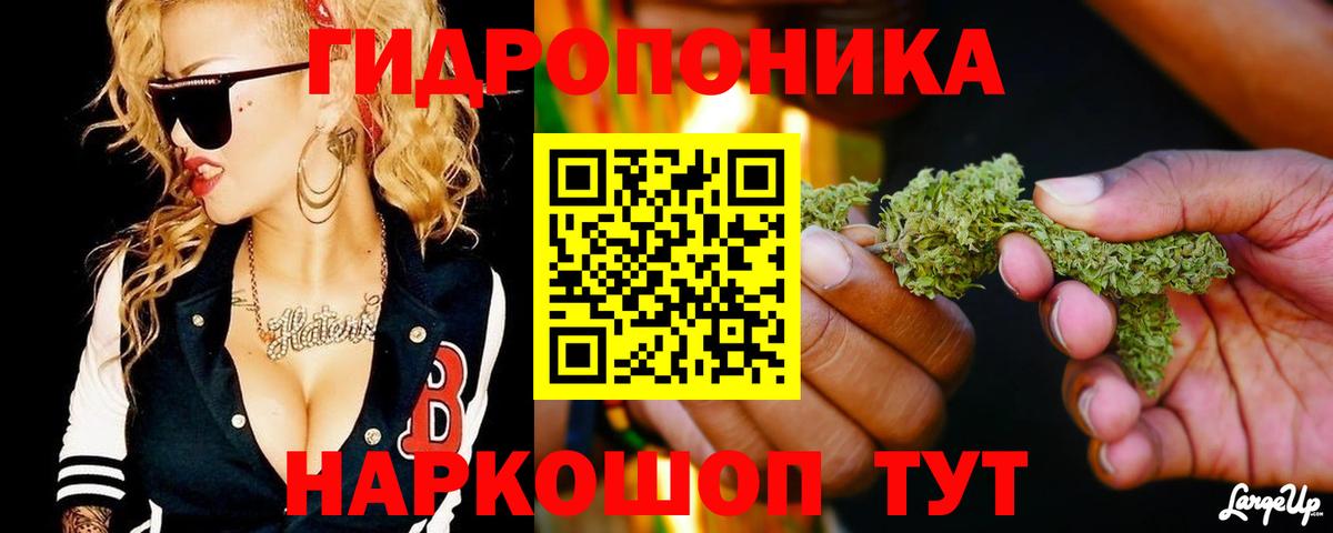Конопля индика Шатура